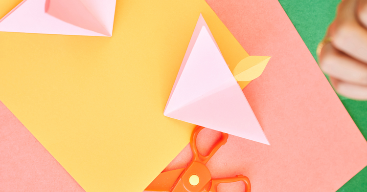 Activity Kits